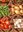 tissu patchwork bande légumes du marché